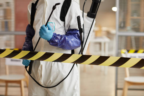 Professional Sewage Cleanup technician working in Stamford, NE